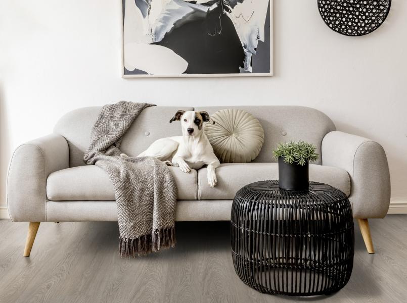 Greenland Grey salon Greenland Grey salon